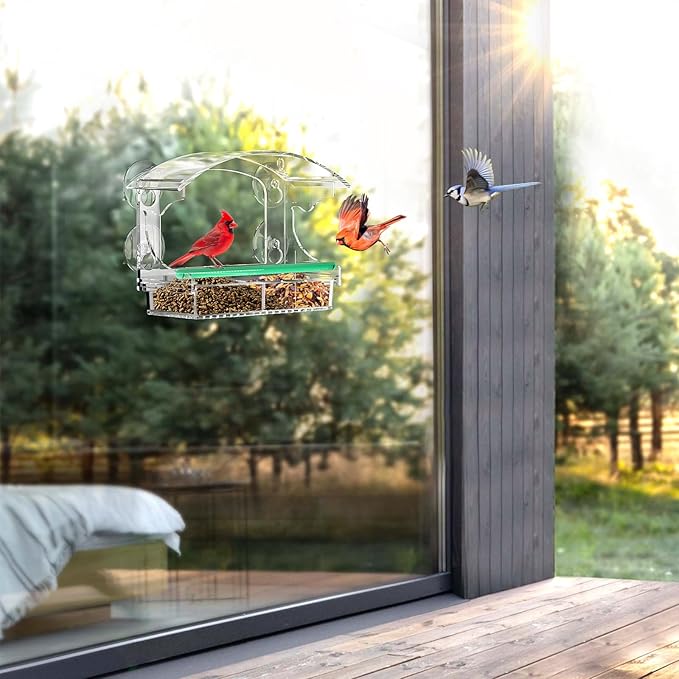 Suction cup installation on window bird feeder