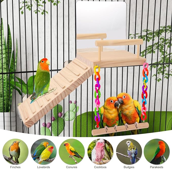Bird Mirror with Climbing Ladder Swing – Fun and Interactive Bird Toy