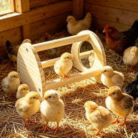 Bird perch jungle gym style cage accessory