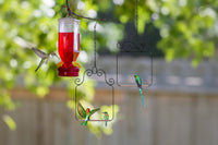 Bird Perch Wooden Dowel Comfortable Resting Spot for Birds