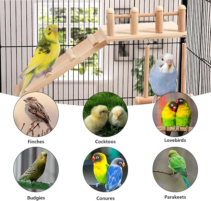 Bird Perches with Climbing Ladder for Parakeets, Cockatiels, and Canaries