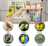 Bird Perches with Climbing Ladder for Parakeets, Cockatiels, and Canaries