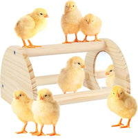 Bird roosting bar with mirror style accessory