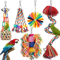 Bird Rope Perch Toy with Bell Colorful Parrot Swing Climbing Toy