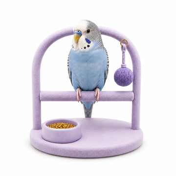 Bird supplies category image with parakeet on lavender perch stand