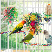 Shredding Bird Toy Installed Inside Parakeet Cage