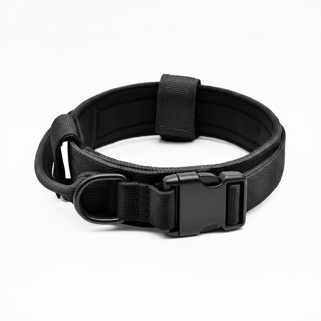 Front view of a black nylon dog collar for everyday use