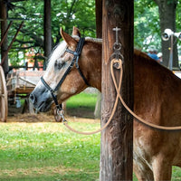Mounting Blocker Tie Ring for Horses – Easy Installation for Safe Tying