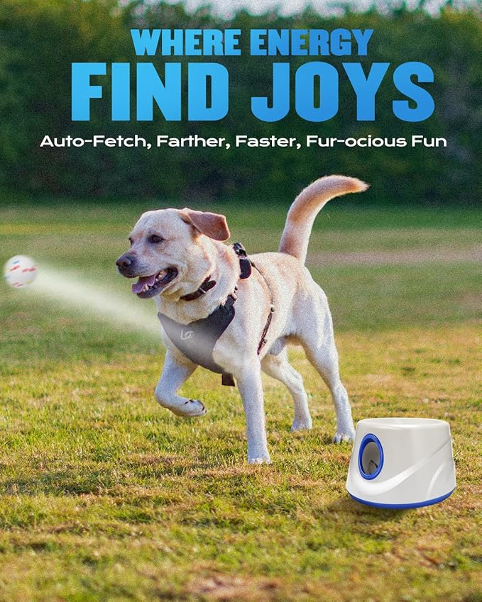 Front view of a blue dog ball play device