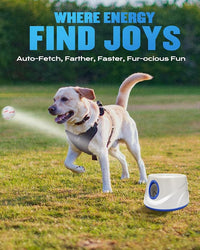 Front view of a blue dog ball play device