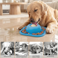 Blue feeding bowl for dogs and cats
