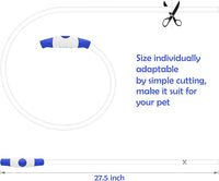 Blue LED light dog collar with adjustable size and USB charging for small to large dogs