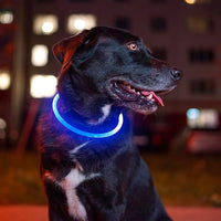 Side view of a blue light-up dog collar