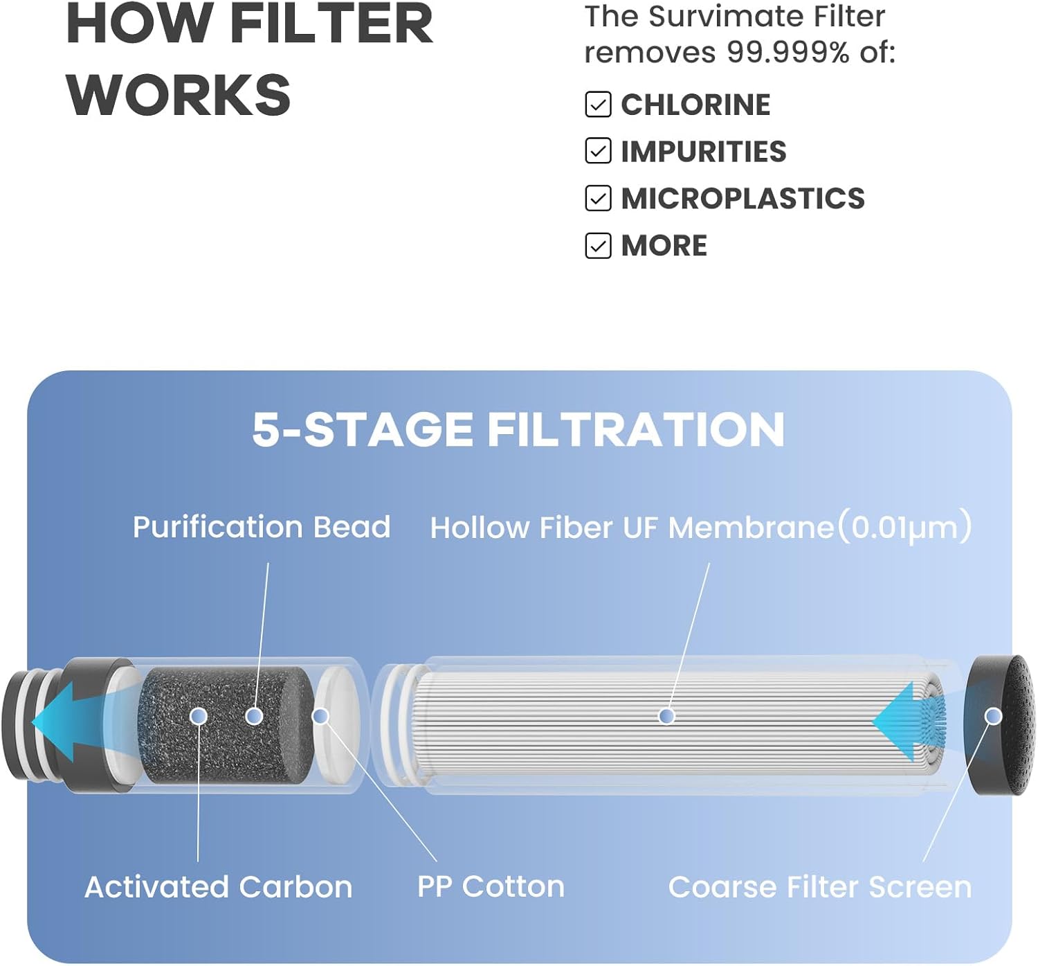BPA-free portable water bottle with filter component