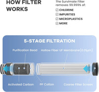 BPA-free portable water bottle with filter component