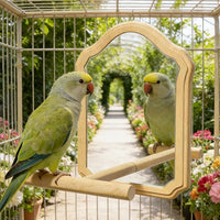 budgie parakeet mirror perch for cage enrichment