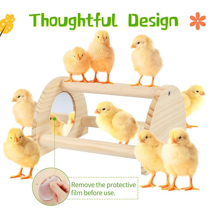 Hanging Cage Bird Accessory with Natural Rope Ladder and Hammock