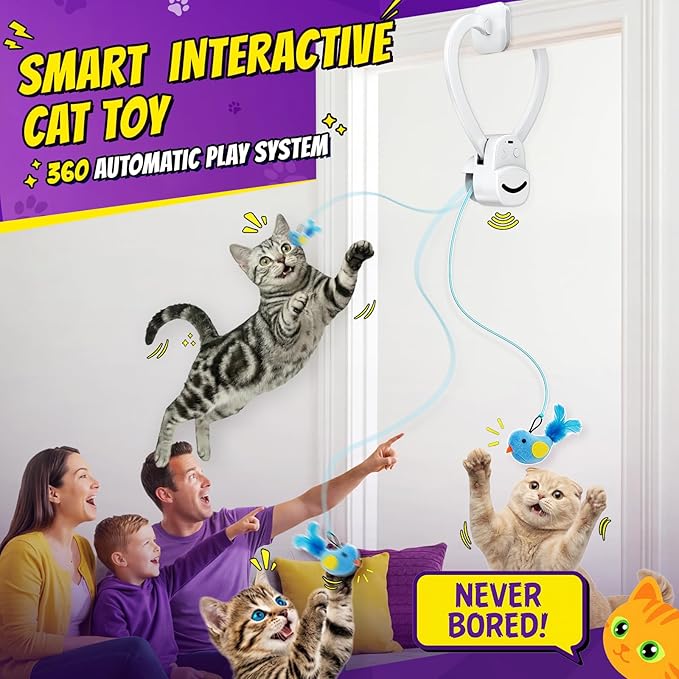 Cat chasing feather wand toy during play session