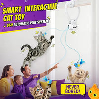 Cat chasing feather wand toy during play session
