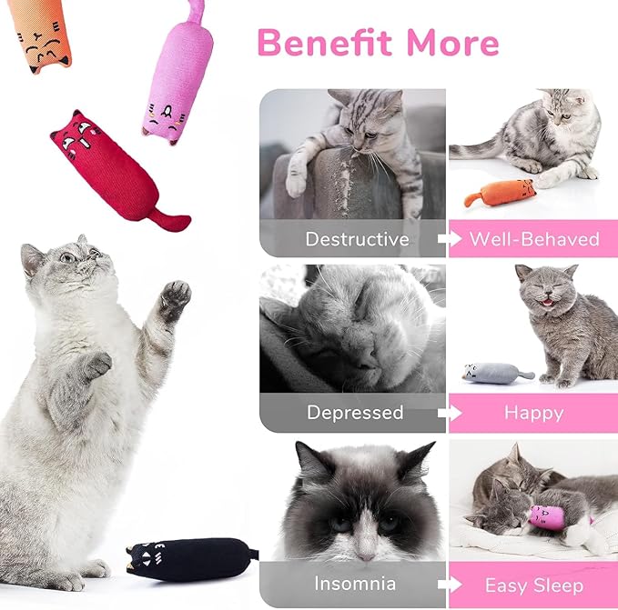Cat Chew Toy Set for Teething and Play