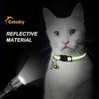 Cat collar set with included ID tags