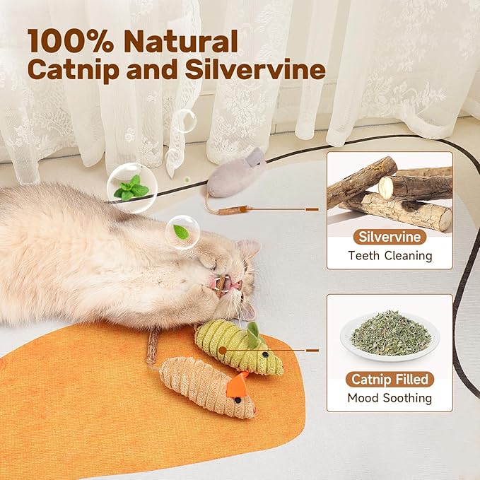 Cat Dental Chew Toy with Catnip and Silvervine