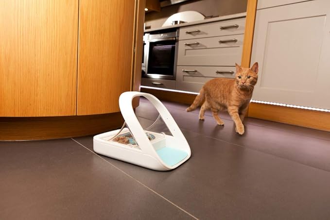 Access-style food bowl for selected cats and dogs