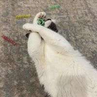 Cat Enrichment Spring Toys for Mental Stimulation and Exercise