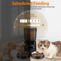Stainless steel bowl inserts on an automatic cat feeder