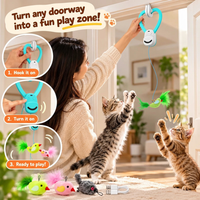 Curious young cat engaging with an interactive floor activity accessory