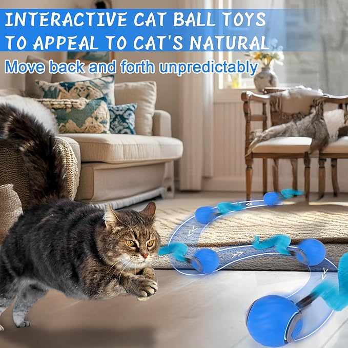 Cat interacting with automatic toy ball indoors
