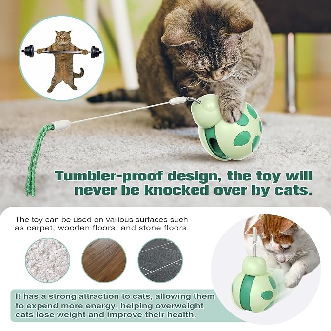 Cat Teaser Treat Toy with Interactive Play Design