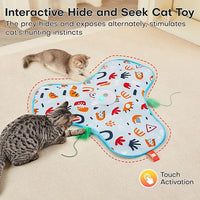 Indoor kitten engaging with interactive wand feather toy