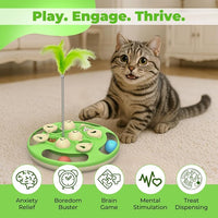Cat Tracking Ball Toy for Interactive Indoor Play