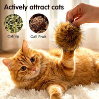 Catnip Ball Toy for Chasing and Play