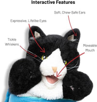 catnip cat wrestling hand mitt for indoor cats