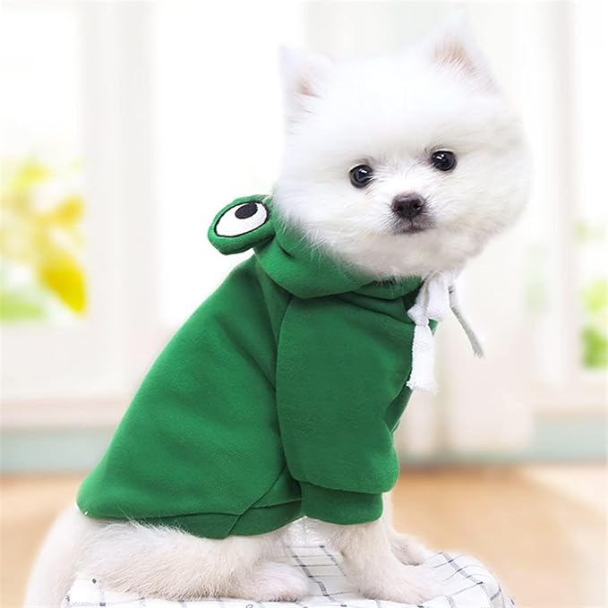 Chihuahua and French Bulldog wearing warm fleece hoodie