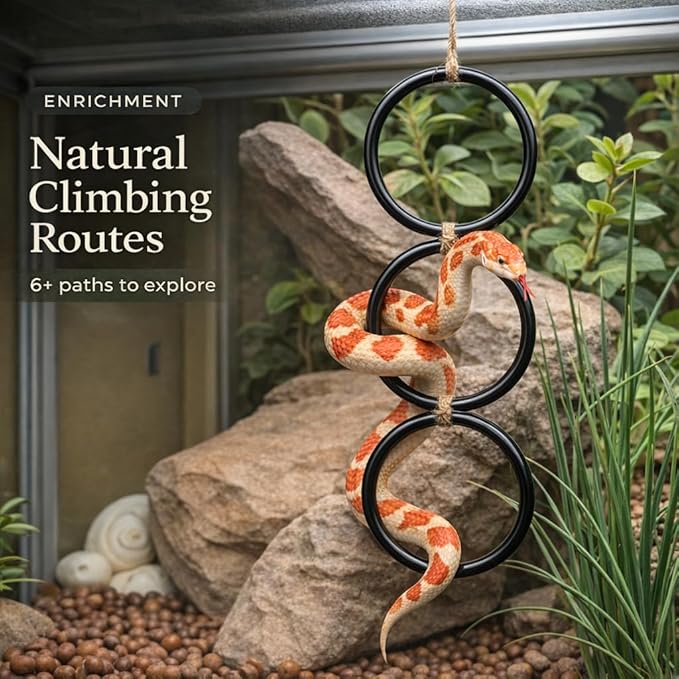 Snake Climbing Rings for Ball Python, Bearded Dragon, and Parrot Enrichment