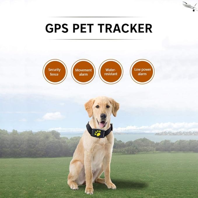 Clip-style attachment on a pet collar accessory