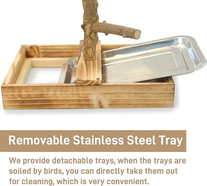 Cockatiel feeding from stainless steel cup on bird playground stand