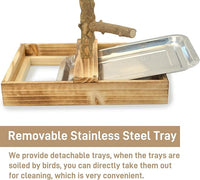 Cockatiel feeding from stainless steel cup on bird playground stand
