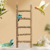 Cockatiel Parakeet Ladder Natural Climbing Toy for Cage