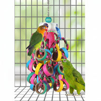 Colorful bird toy ring set for small birds, suitable for indoor cage setup and daily bird use.