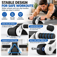 Compact core training accessory designed for controlled rollout movements.
