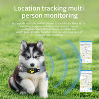 Compact collar accessory for dog and cat collars