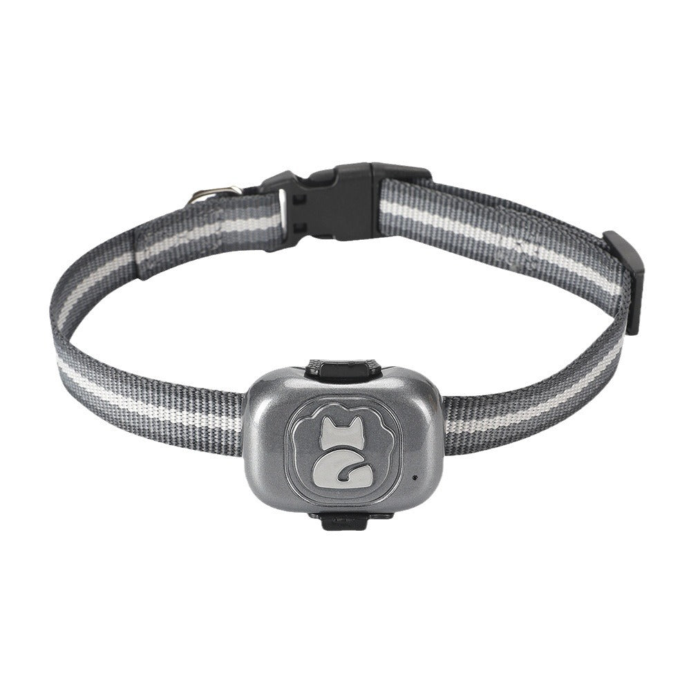 Front view of a compact strap case for standard pet collars