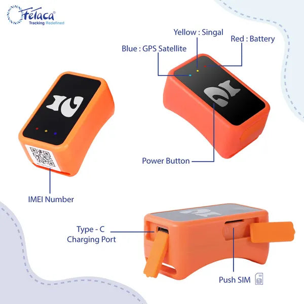 Compact pet collar holder for daily walks