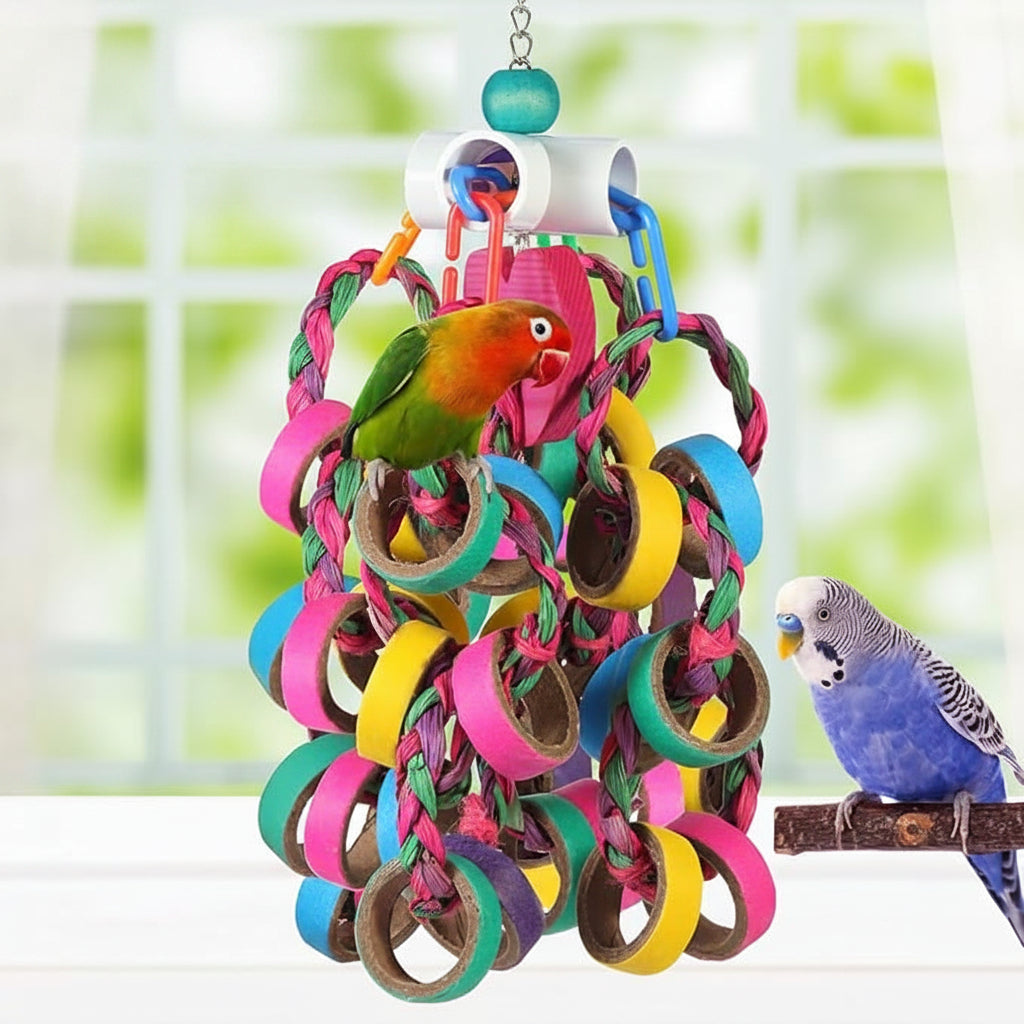 Bird toy ring set for conures and cockatiels