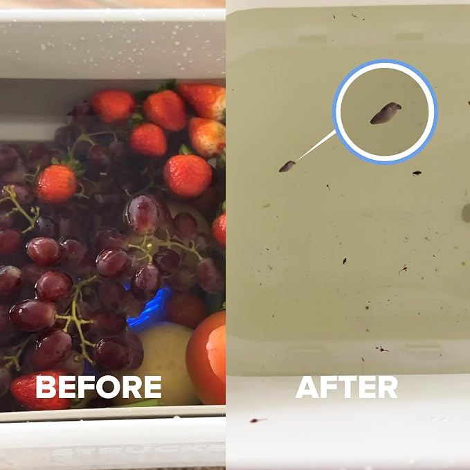 Cordless produce washing device for fruits and vegetables
