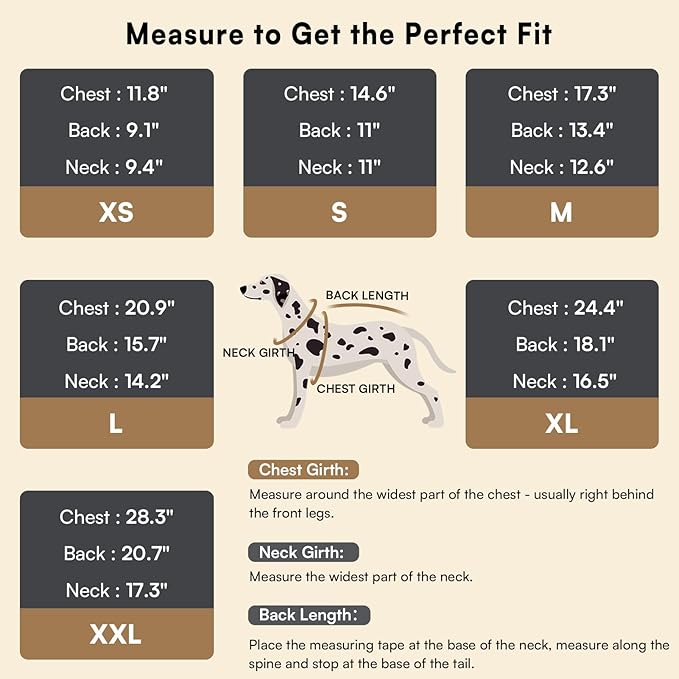 cozy dog sweater for outdoor walks and cold weather